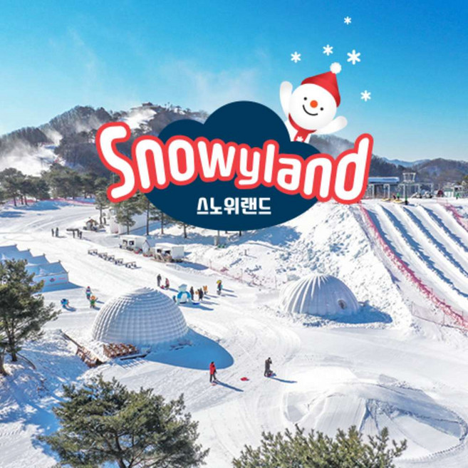 [강원] (문자발송) 비발디파크 스노위랜드 종일권 홍천 (소노호텔앤리조트)