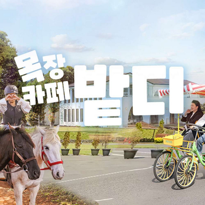 [제주] 목장카페 밭디 (이색자전거/승마)