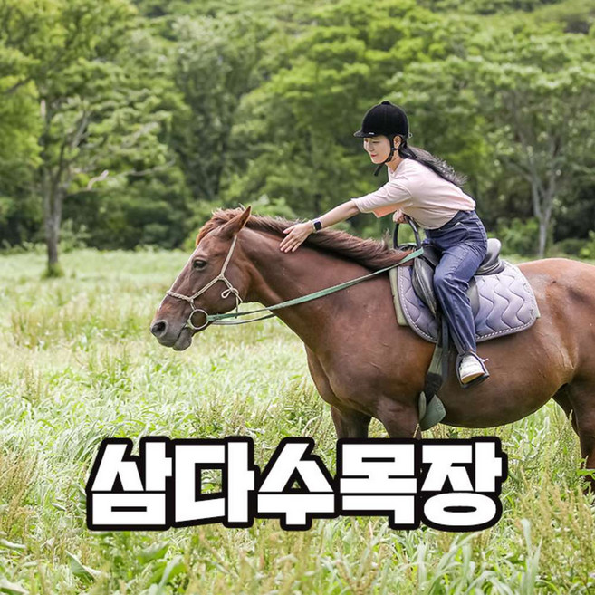 [제주] 삼다수목장 (기본코스 / 더블코스 / 목장코스 / 산책코스)