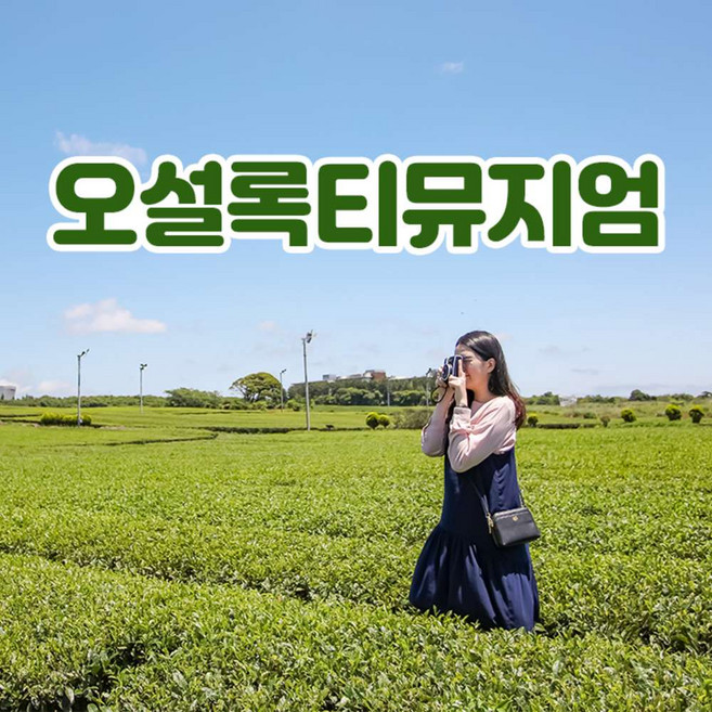 [제주] 오설록티뮤지엄 (말차소프트아이스크림)