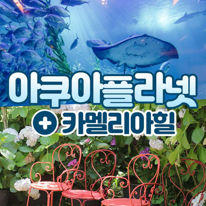 5위 - [제주] 아쿠아플라넷 종합권+카멜리아힐