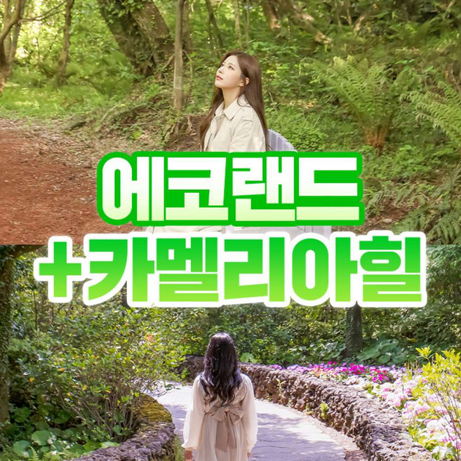 [제주] 제주 에코랜드+카멜리아힐
