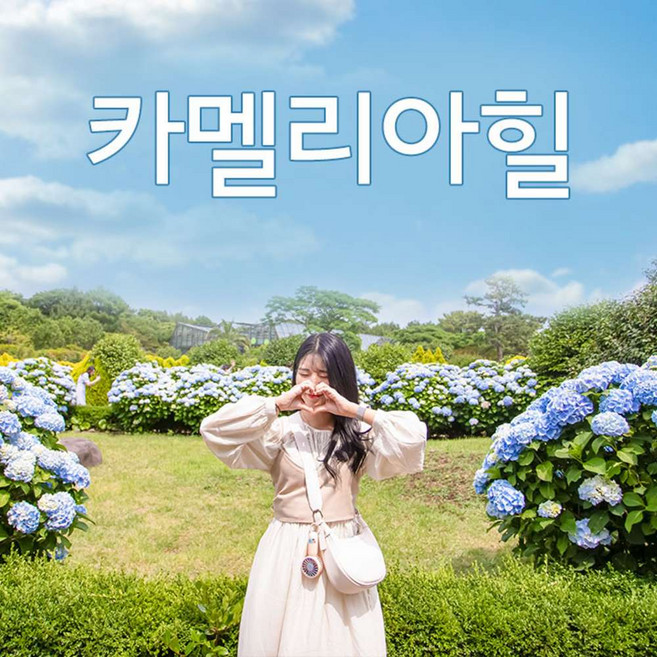 10위 - [제주] (♥카페or입장권 택1♥) 카멜리아힐