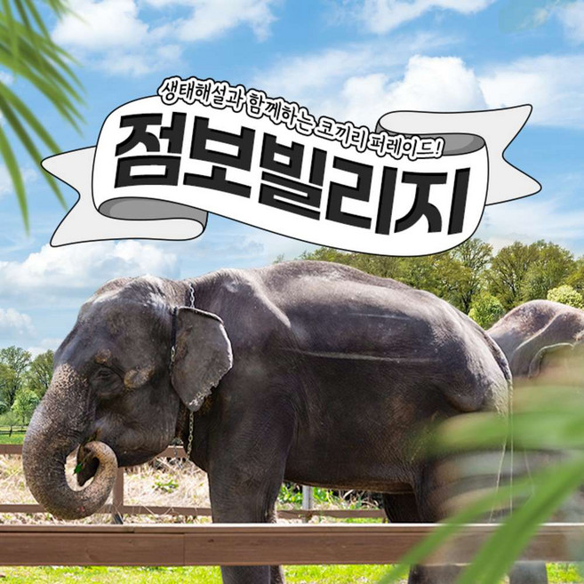 [제주] 점보빌리지(입장권, 퍼레이드 관람, 생태해설)