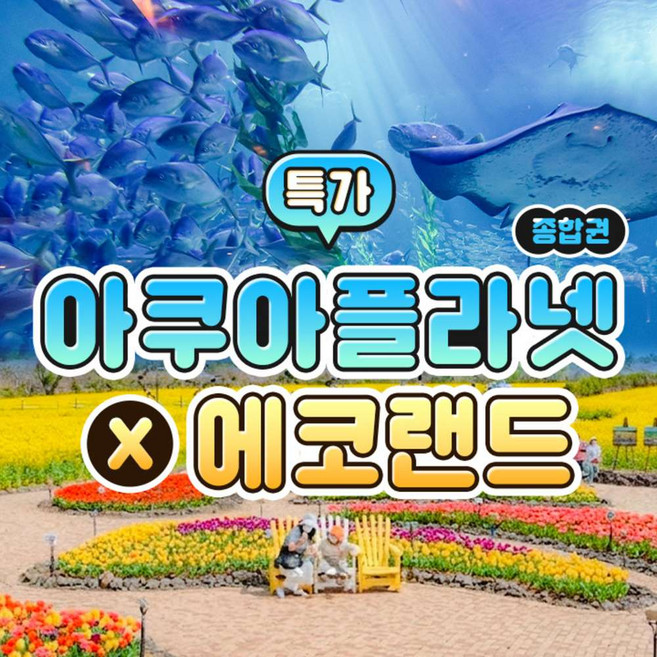 4위 - [제주] [특가] 아쿠아플라넷X에코랜드테마파크