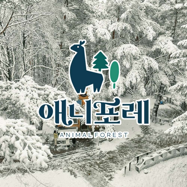 [강원] 모나용평 애니포레 동계시즌 입장권(12/6~3/2)