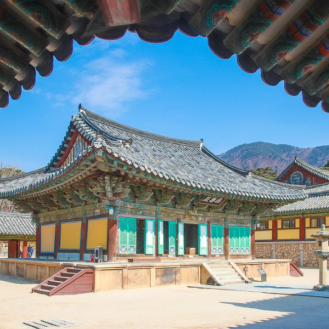 2026년 경주투어 추천 TOP10, 가격·리뷰 총정리