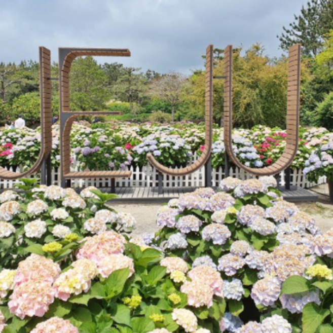 [제주도] 제주도 버스투어 관광 뚜벅이 일일원데이 패키지투어 당일치기 혼자여행 가족 친구 연인 여행