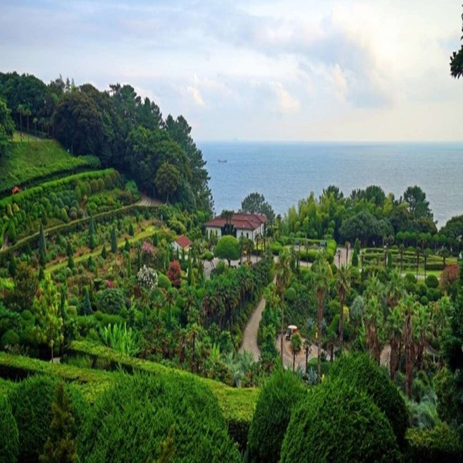 [매일 출발] 매일 출발 1박2일 통영케이블카 거제도 & 외도 & 장사도 or 소매물도 코레일 기차 여행