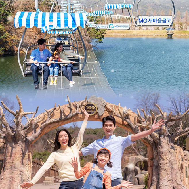 [과천] 서울대공원 리프트 패키지/서울동물원(~03.31)