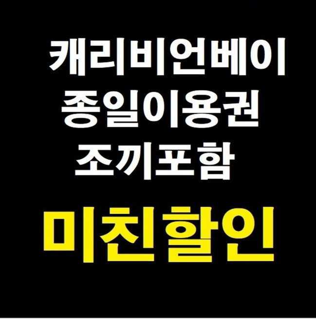 8위 - [용인] [당일가능문자전송]캐리비안베이 종일권 자유이용권 대인소인