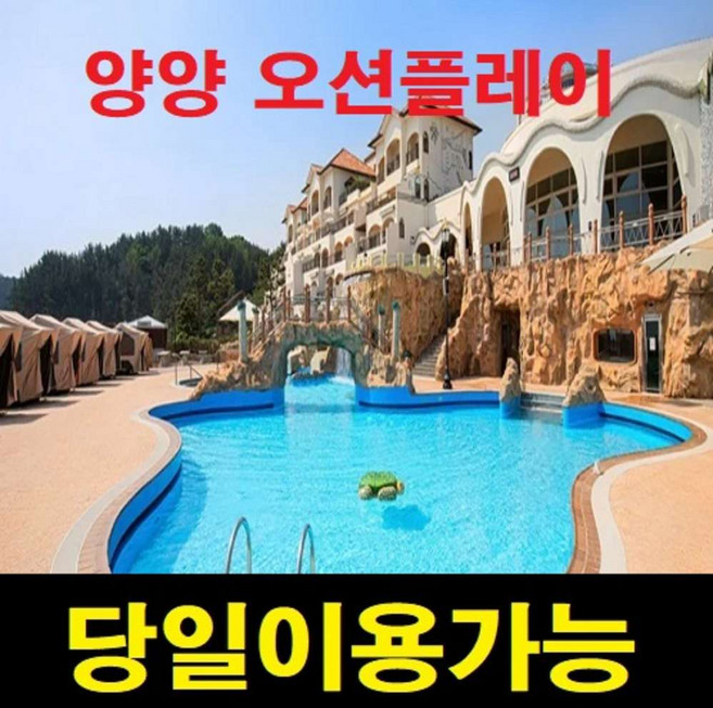 [문자전송] [당일가능]양양쏠비치 오션플레이 종일이용권 