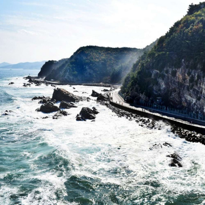 [강릉] ★푸른바다 있는 그곳★정동심곡바다부채길+중앙시장+안목해변+경포호수공원