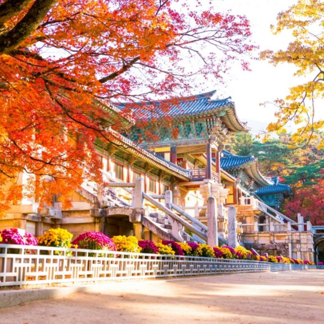 7위 - [경주] ★10/17★출발확정★전통과현대가 어우러지는 핫플레이스★첨성대+황리단길+불국사+파도소리길