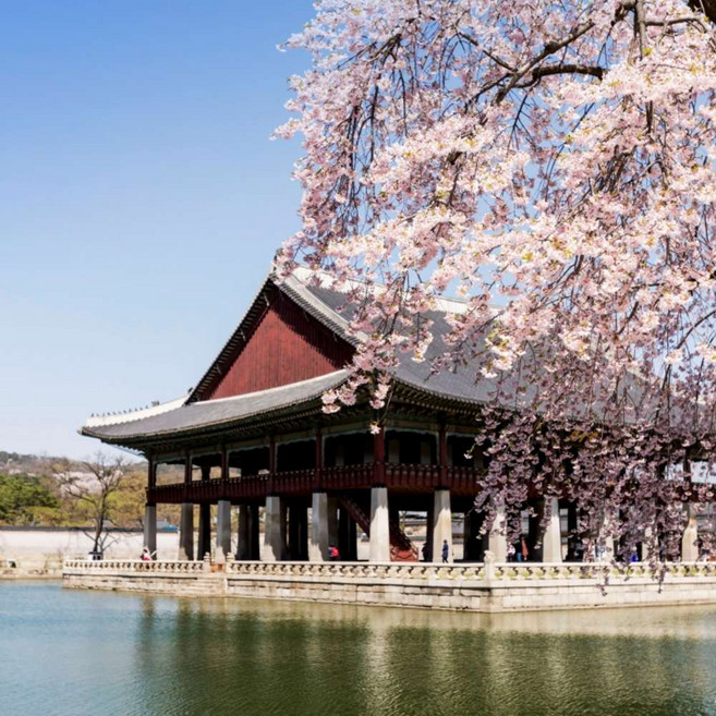 [서울] ★무슬림친화투어 코스A / 경복궁+북촌+인사동+모스크+남산타워
