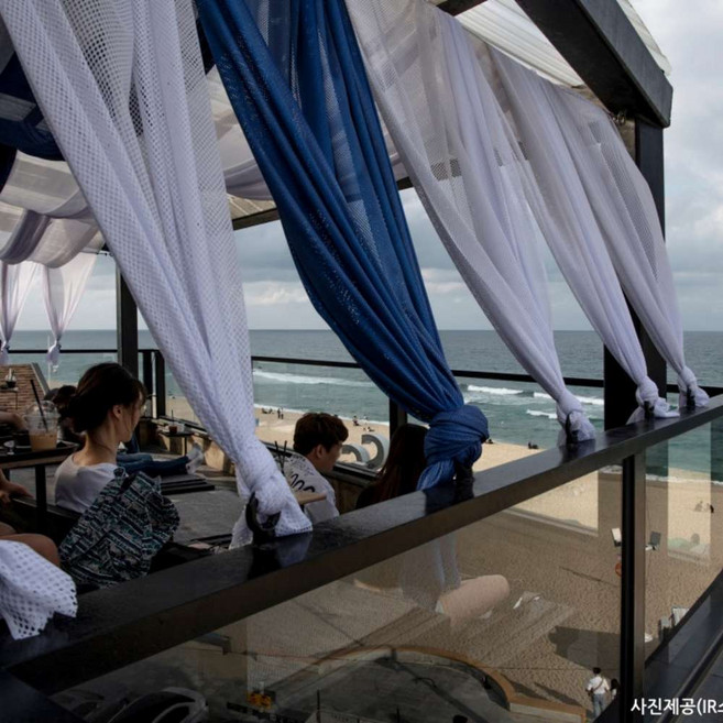 [강릉] ★멋진 바다와 함께 강릉 커피 여행★ 강릉솔향수목원+중앙시장+오죽헌+안목해변과 커피거리