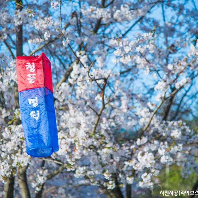 [제천] ★제천으로 떠나는 풍경여행★의림지+내토시장+청풍문화유산단지+배론성지등