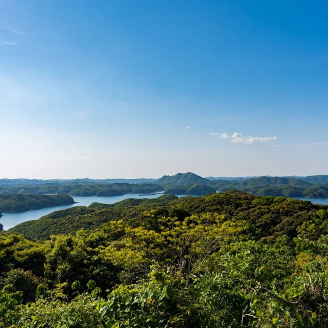 [대마도] [부산 출발] 대마도 패키지 1박2일