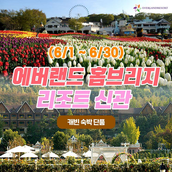 [용인] 26년 6월 에버랜드 용인 홈브리지 캐빈호스텔 리조트 신관