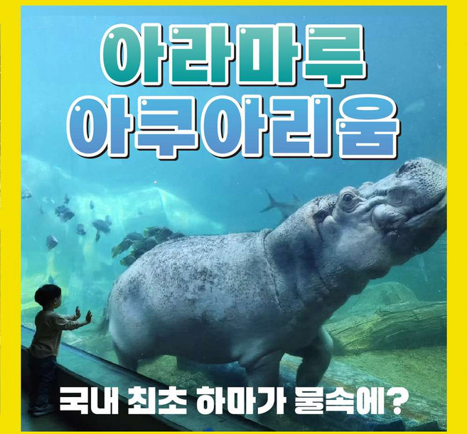 [경남/사천] ★아라마루 아쿠아리움 입장권