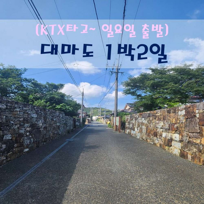 [출발확정] [KTX_서울역출발] 대마도 1박2일(일요일) 