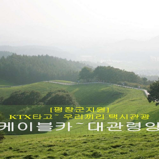 [출발확정] ★평창군지원★ [평창 택시투어 3탄] 발왕산케이블카+대관령양떼목장(당일)