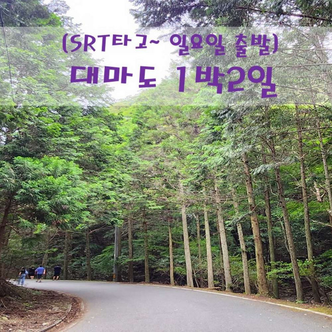 [출발확정] [SRT] 대마도 1박2일 (일요일 출발) 