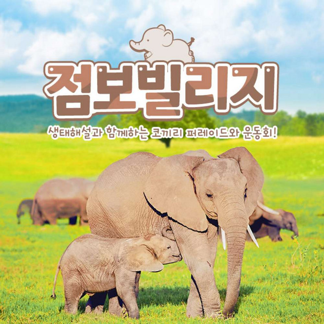 4위 - [제주] 점보빌리지 ♥혜택 4종 증정♥