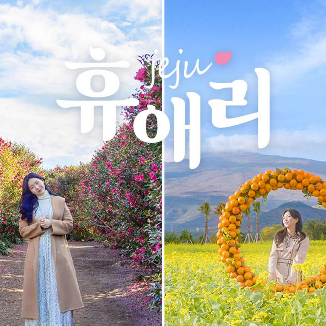 [제주] 제주 휴애리 동백꽃 축제