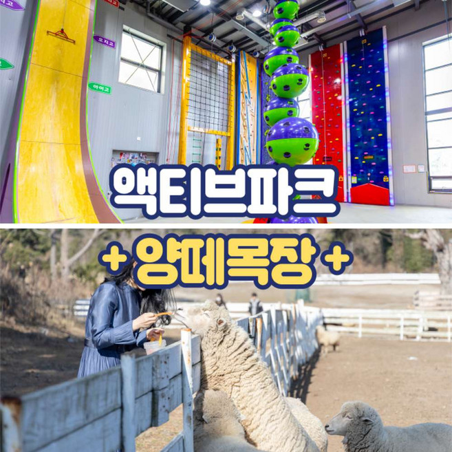[제주] 액티브파크+양떼목장 / 카트 클라이밍 체험