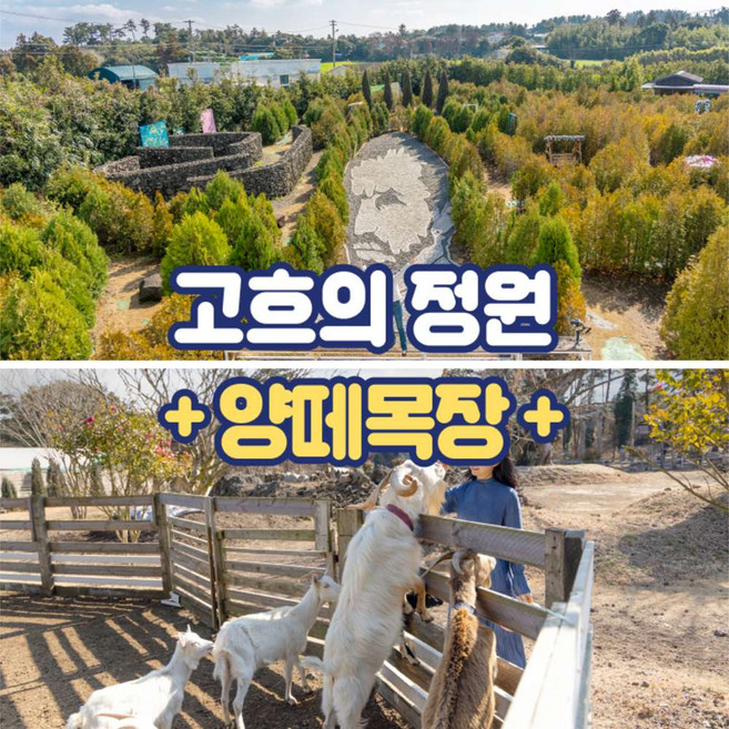 [제주] 고흐의 정원+양떼목장