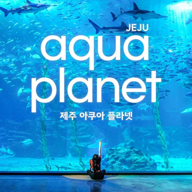 2위 - [제주]  아쿠아플라넷 ♥혜택 4종 증정♥/ 제주여행 실내관광지 아쿠아리움
