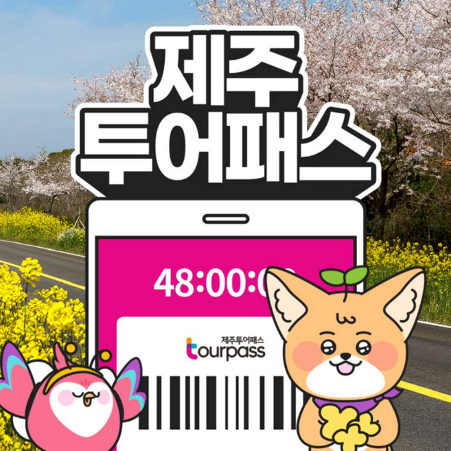 [제주] 제주투어패스 와우특가