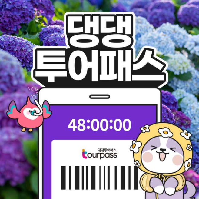 5위 - [제주] 댕댕투어패스 반려견 동반 프리패스 자유이용권