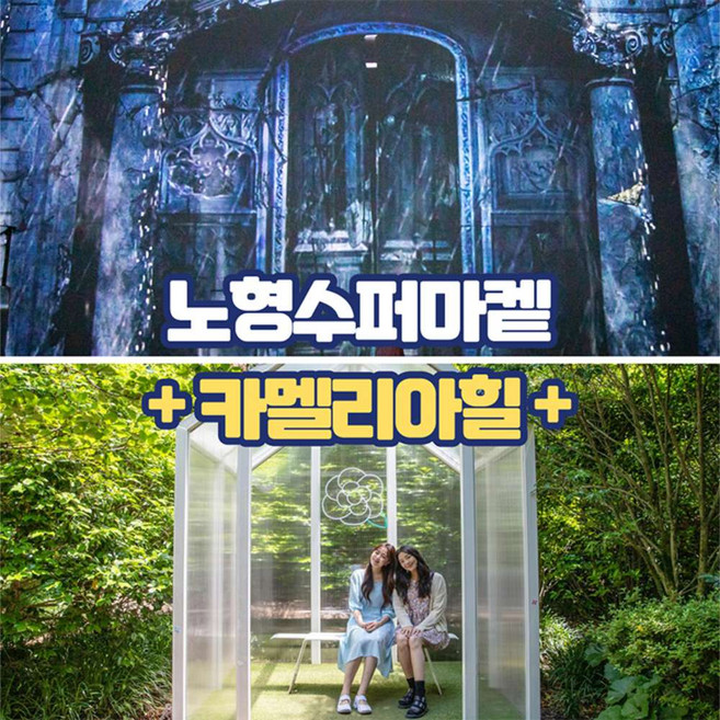 [제주] 제주 노형수퍼마켙+카멜리아힐 입장권