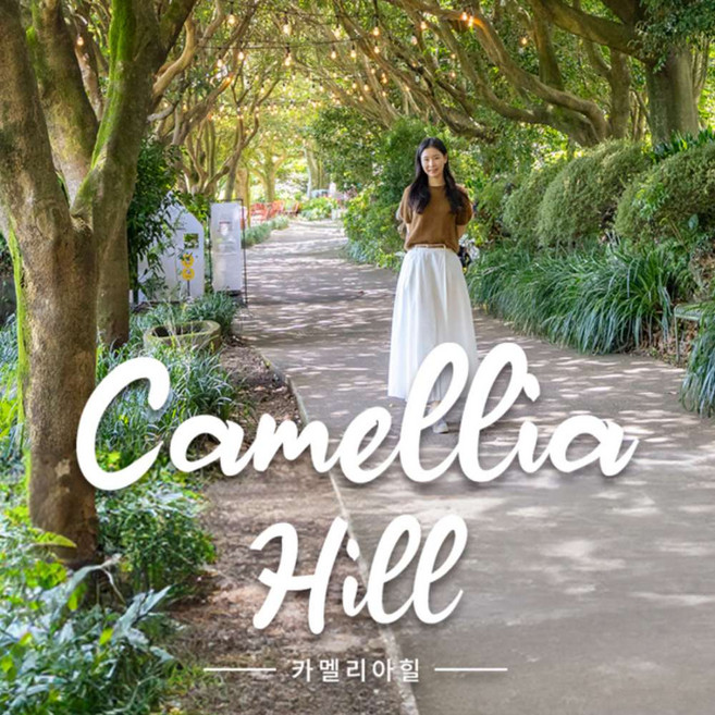 [제주] 카멜리아힐 입장권♥낙타트래킹&족욕&조안베어 혜택 증정♥