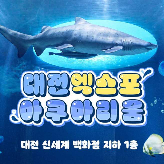 [대전] 엑스포 아쿠아리움 입장권 (구매 1시간 이후 사용가능)