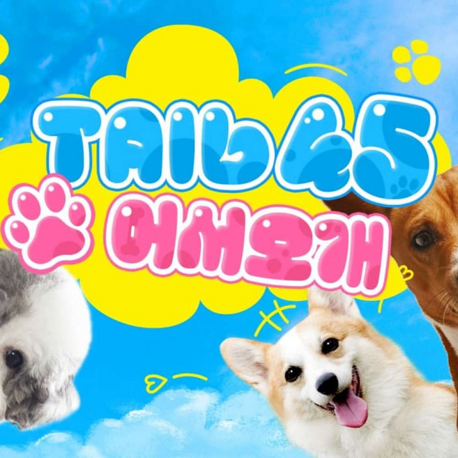 [용인] 테일45 5천평 규모 반려견 운동장