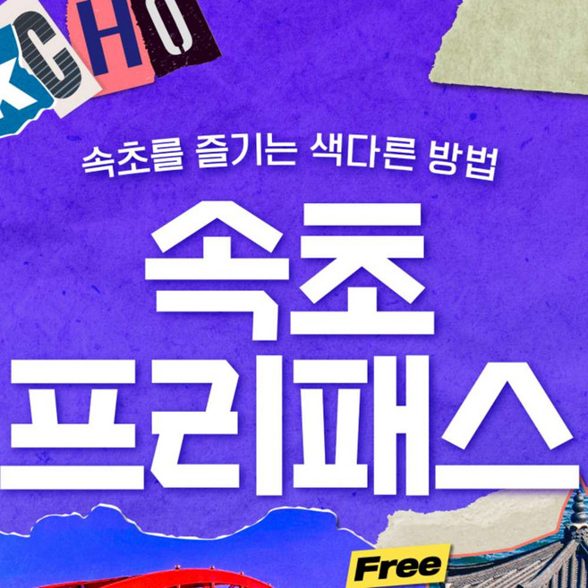 속초패스 고르는 법 — 구매 전 체크리스트 2026