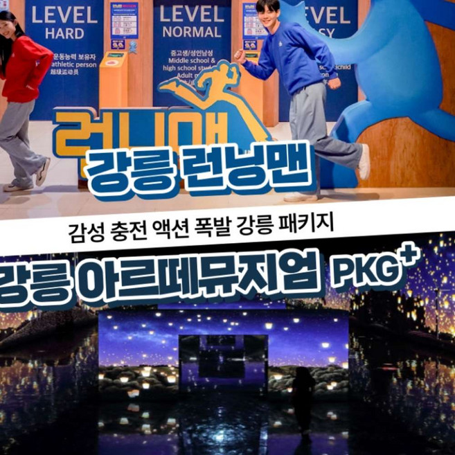 [강릉] 런닝맨(90분)+아르떼뮤지엄 강릉 입장권