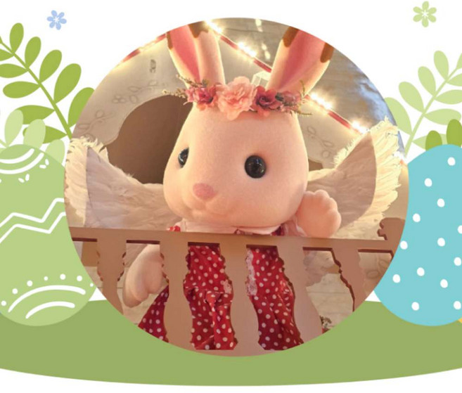 [경주] 바니베어 뮤지엄