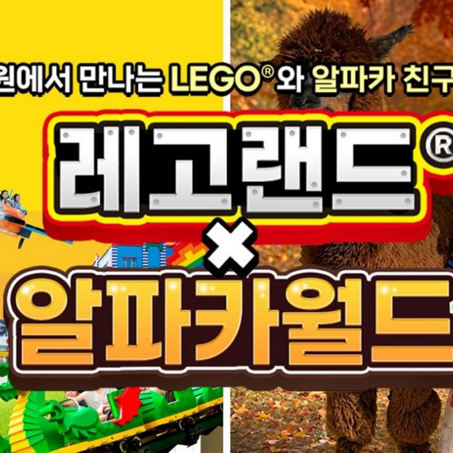 7위 - [강원] 레고랜드X알파카월드 패키지