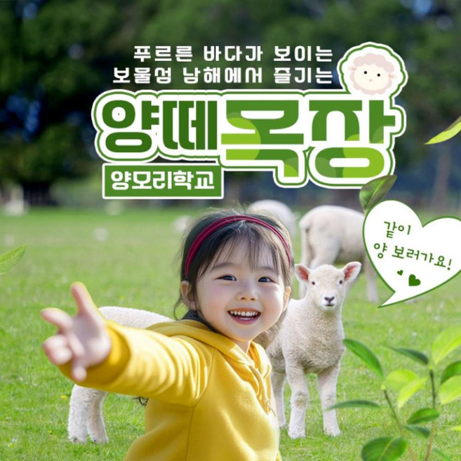 [남해] [남해아이와가볼만한곳] 남해양떼목장 양모리학교 이용권