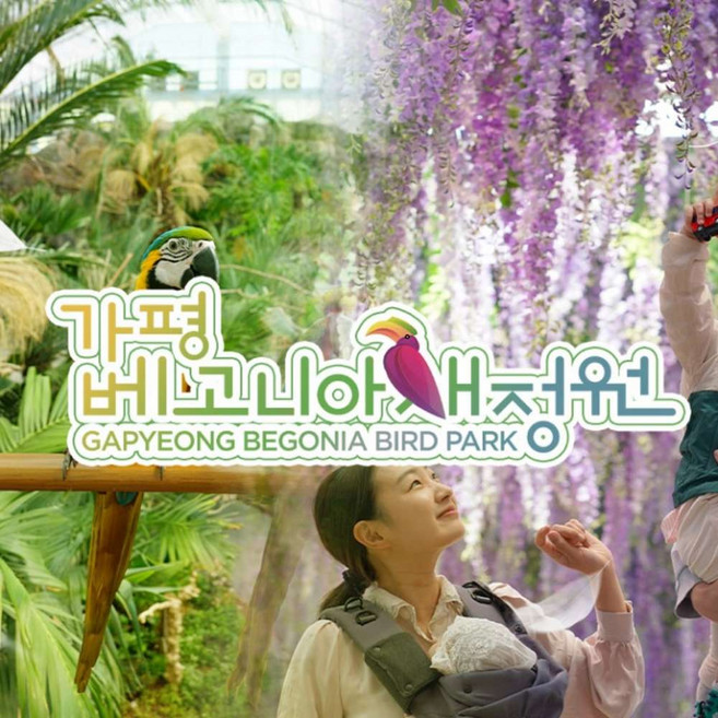 [가평] 가평 베고니아 새정원 입장권