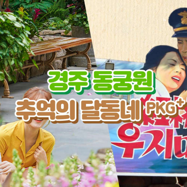 [경북] 경주가볼만한곳! 추억의달동네+동궁원 패키지