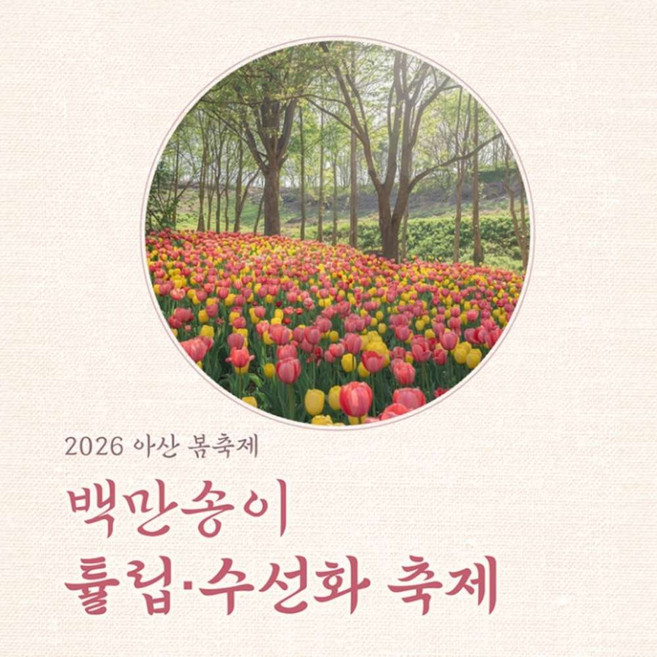 [충남] 2026년 백만송이 튤립,수선화 축제 피나클랜드 봄꽃 대향연~!