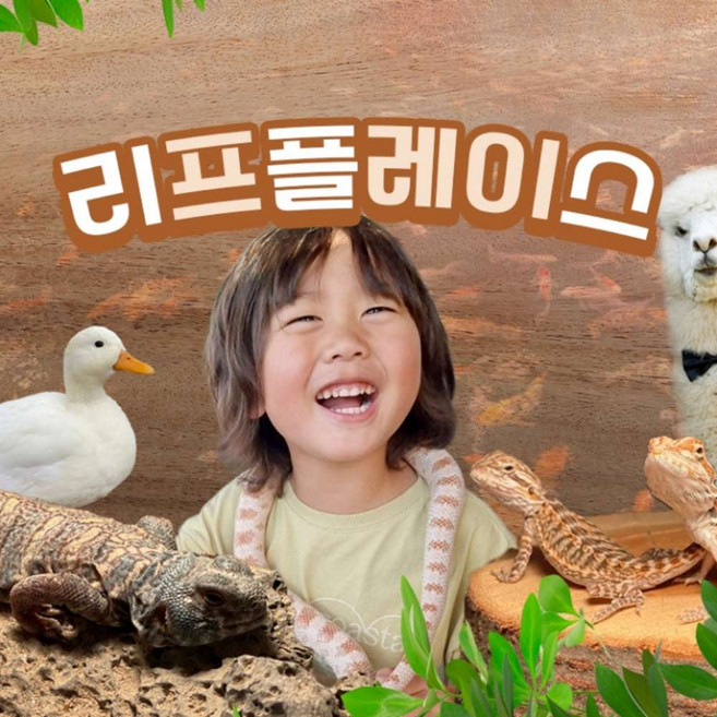 [용인] 리프플레이스(용인가볼만한곳!)