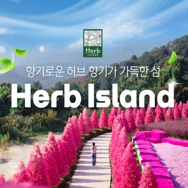 [포천] 허브아일랜드 입장권(포천가볼만한곳)