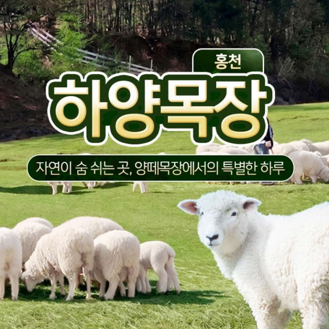 [홍천] 하양목장 이용권