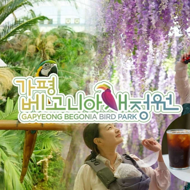 [가평] 가평 베고니아 새정원 커피PKG